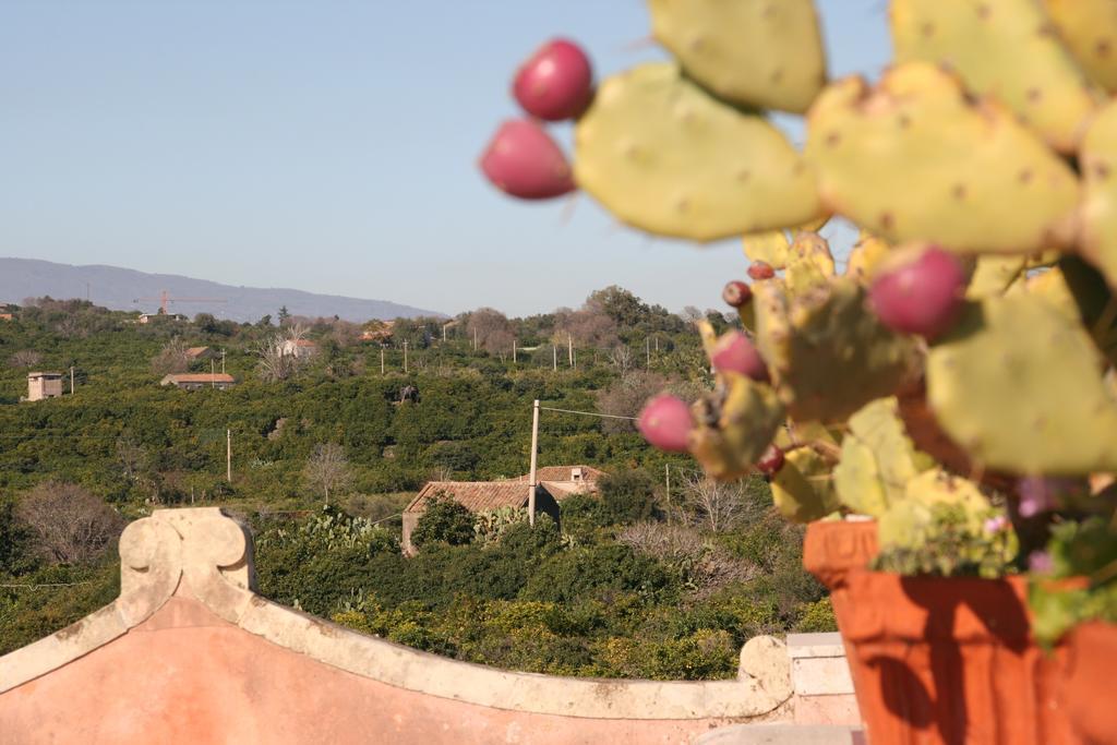 Villa Dei Leoni Santa Tecla Exterior foto